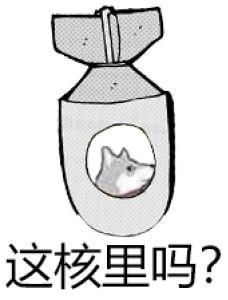  这河里吗2021河狸表情包合集