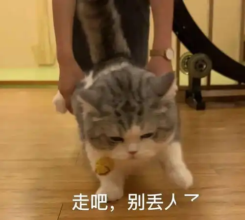  聊天斗图表情包i打爆你的狗头
