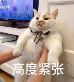 面试官除了我们你还面试了其它公司吗这样回答才不会被淘汰