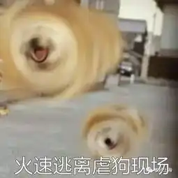  热点魔都结界已碎台风温比亚又来了狂风暴雨请签收