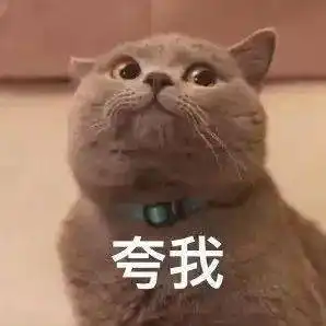  可爱小猫表情包