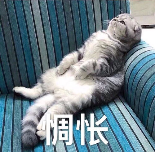  牙疼为什么吃药好不了牙医亲自揭秘