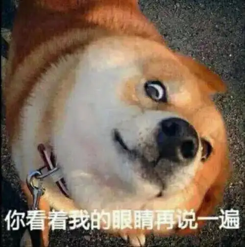  一波搞笑表情包