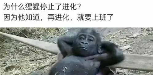  轻松一刻为什么猩猩停止了进化