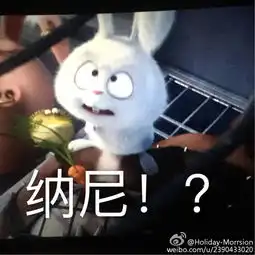  爱宠大机密这只小兔子真可爱,虽然是反派堆糖,美好生活研究所