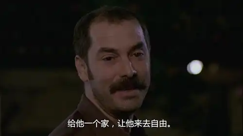希亚拉博夫表情包滥情