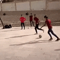 小黄鸭表情包gif图听我