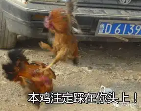  鸡年当然要用鸡表情包这些图助你成为斗图王者