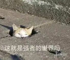  不正经新闻第65期早安晚安不如我先入土为安