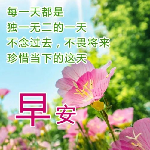  早上好问候语,祝福天天有,友谊更长久