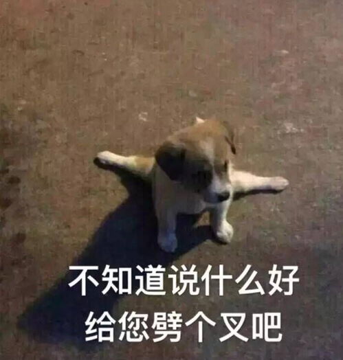 你的心像石头表情包合集