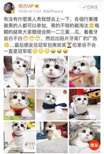  活在表情包里的尔康,才是真人生赢家