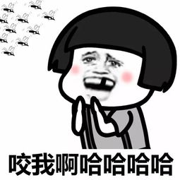  表情包蚊子独宠我