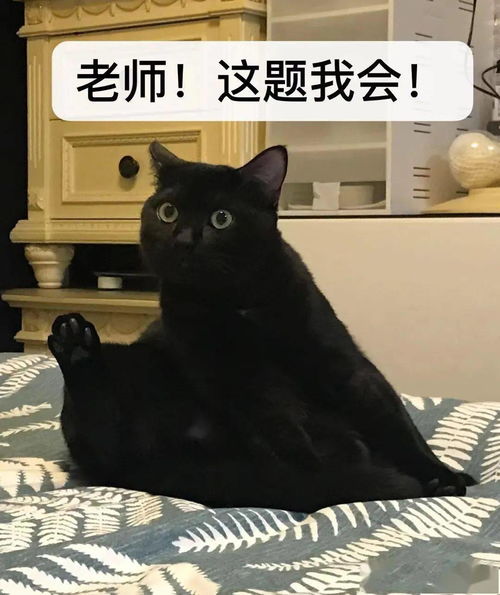  当24家世界著名博物馆撞上鬼畜表情包,人间百味,魔性出圈