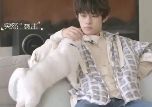 阿苔想要亲亲千玺,被千玺一把按住,看到阿苔表情,这次不羡慕了易烊  阿苔想要亲亲千玺,被千玺一把按住,看到阿苔表情,这次不羡慕了易烊