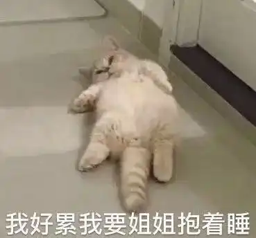  卖萌表情包