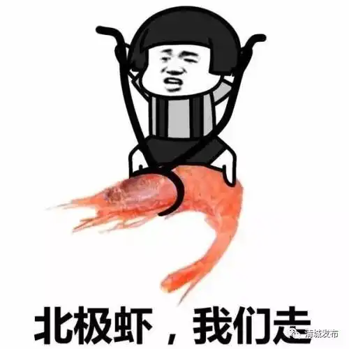  乡村新闻官清城播报丨戴上防晒帽的黑皮冬瓜,你见过吗