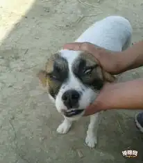  搞笑hao123上网导航