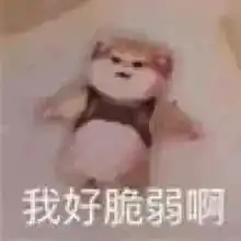  可爱沙雕表情包姐,我想得到你