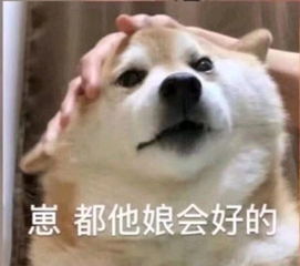 respect什么意思表情包