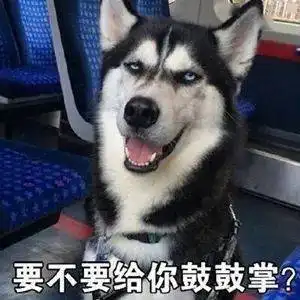 表情包看一个人哈士奇