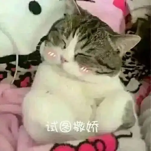  迎新欢迎来到第二临床学院