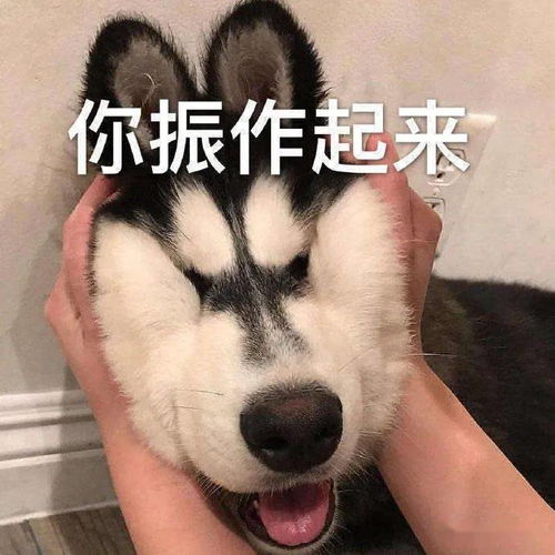  91年小哥哥找对象,公务员,211本硕,身高182长相干净