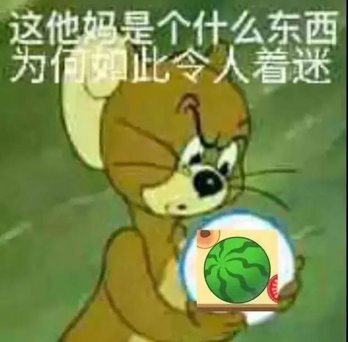  这个西瓜最近太让人上头