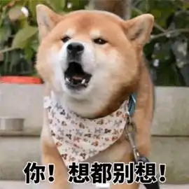 柴犬带字表情包天庭