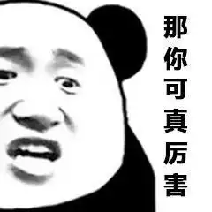 怼我的世界表情包熊猫