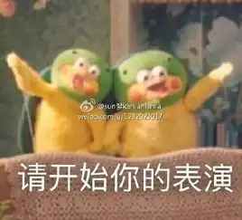  鹦鹉兄弟动态表情包