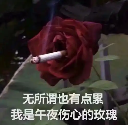  pixelark我的世界像素方舟服务器