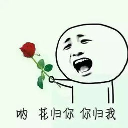花花送给你表情包芥花