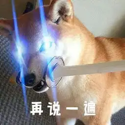  谁知道这狗什么品种
