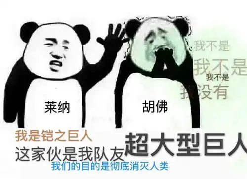  我的收藏