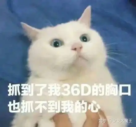 在线表情包沙雕猫猫