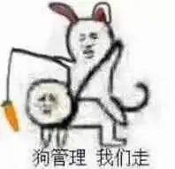 求皮皮虾我们走一系列图 求皮皮虾我们走一系列图