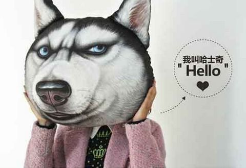  只是因为在商场里多看了你一眼,魔性doge抱枕