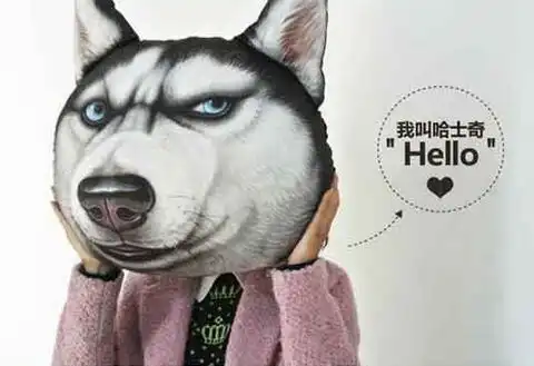  只是因为在商场里多看了你一眼,魔性doge抱枕