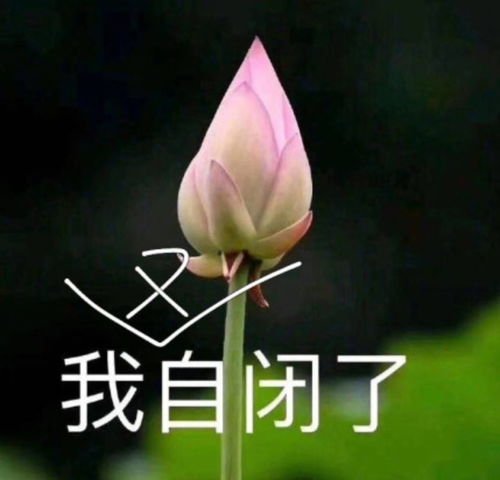  哈哈哈时刻千万别看4d电影