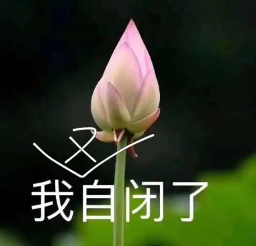  哈哈哈时刻千万别看4d电影