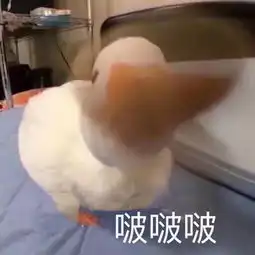 按头小分队集合,难道我们天盛女孩儿不配吃糖吗 按头小分队集合,难道我们天盛女孩儿不配吃糖吗