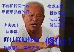  表情包丨上班狗疲惫的目光