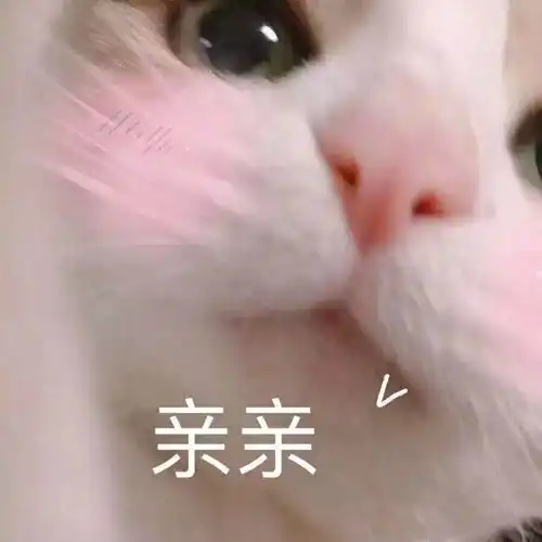  有哪些极简主义并且好用的app