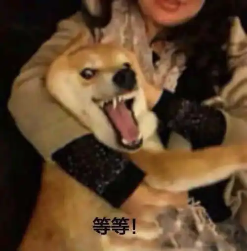  今日份沙雕表情包我确实馋他的身子