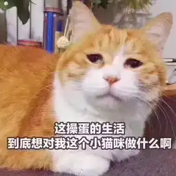  超好看40套春夏look,告别清一色的t恤牛仔连衣裙