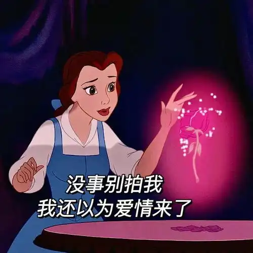啊呸表情包迪士尼公主