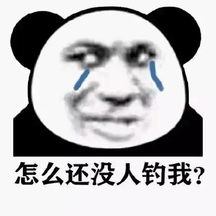  熊猫头表情包互联网真是太精彩了