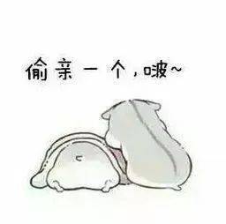  哄女朋友的表情包,兄弟们赶紧收藏保命