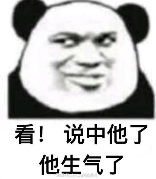  不太方的相册我的命根子